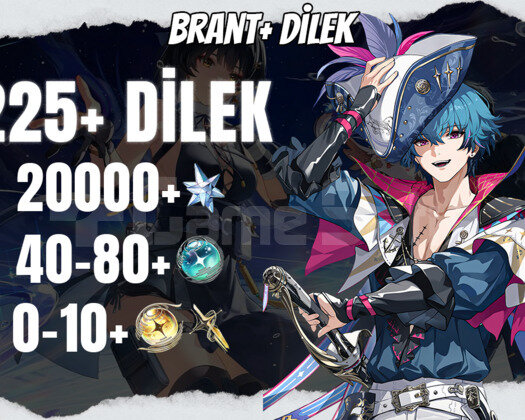 EU | UL30 Brant +20000 Astrite + 40-80/0-10