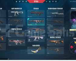 TR I Bronz 1 I Evori Vandal I Asil Karambit