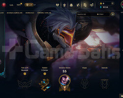 TR Geçen Sezon Plat | 7 Kostüm - 36 Hero | LoL Hes