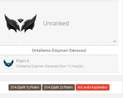 GEÇEN SEZON PLAT / DERECELİ HAZIR / TR
