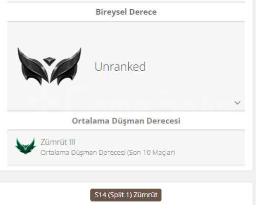 GEÇEN SEZON ZÜMRÜT / DERECELİ HAZIR / TR