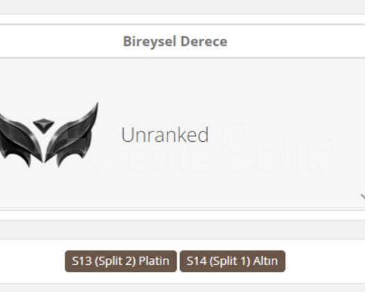 GEÇEN SEZON PLAT / DERECELİ HAZIR / 320 RP