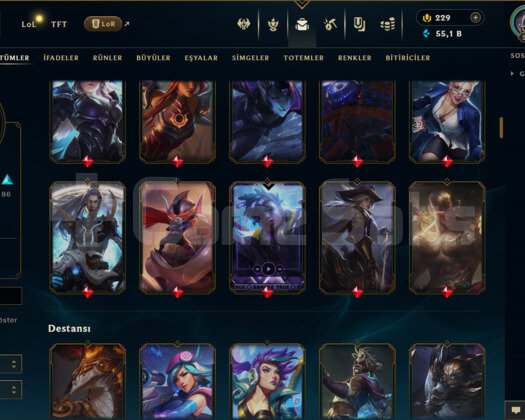 TR / 294 LEVEL / 168 SKİN / 167 HERO +MAİL