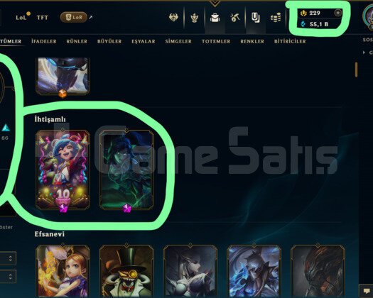 TR / 294 LEVEL / 168 SKİN / 167 HERO +MAİL