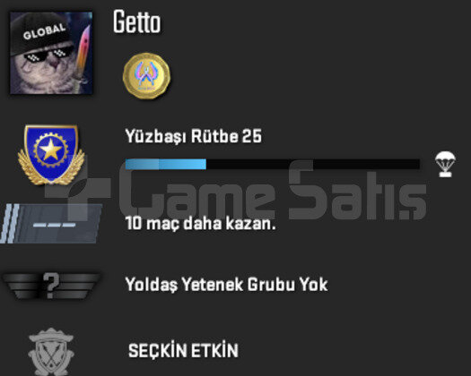 CS2 Prime PREMİER AKTİF | Yeşil Faktör + Garanti