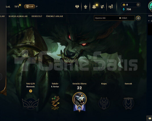 TR Gold 4 | 4 Kostüm - 43 Hero | LoL