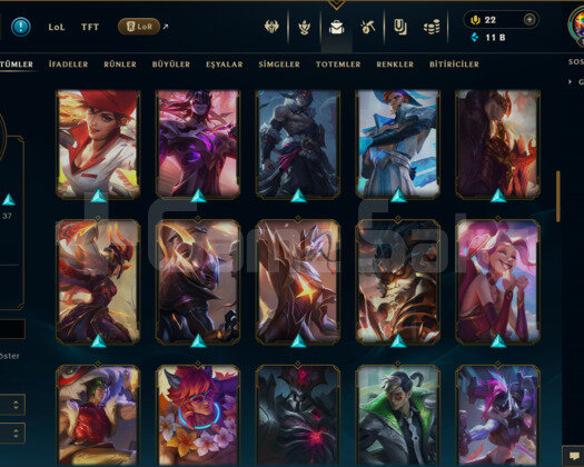 TR / 160 LEVEL / 74 SKİN / 125 HERO +MAİL