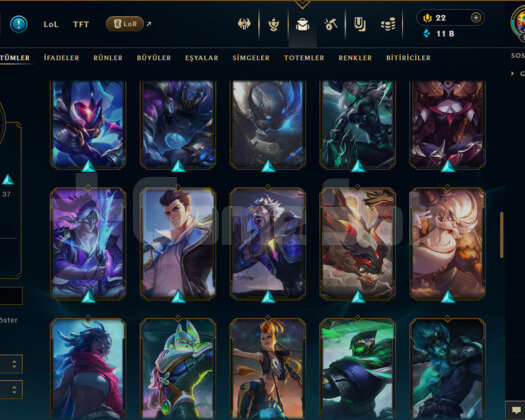 TR / 160 LEVEL / 74 SKİN / 125 HERO +MAİL