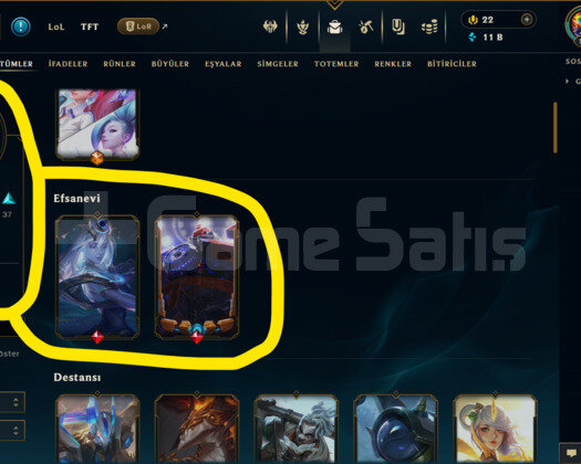 TR / 160 LEVEL / 74 SKİN / 125 HERO +MAİL