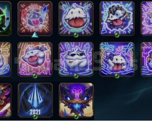 29 lvl hesap
