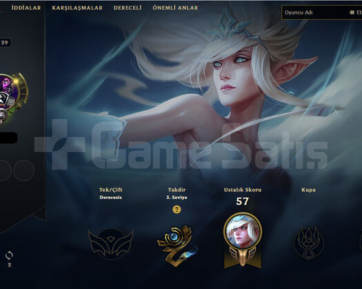 29 lvl hesap