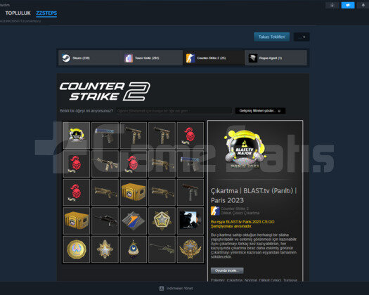 Kaliteli Mükkemmel steam hesabı