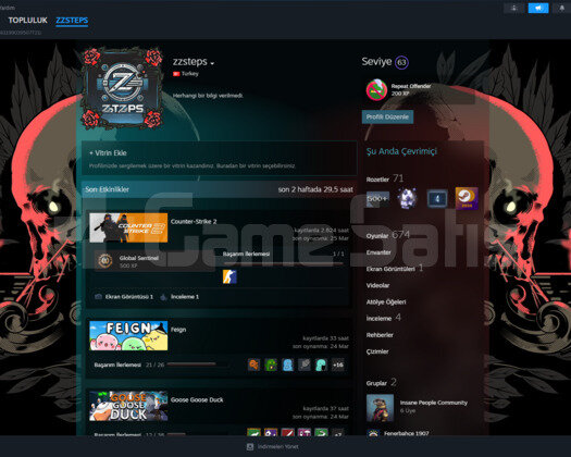 Kaliteli Mükkemmel steam hesabı