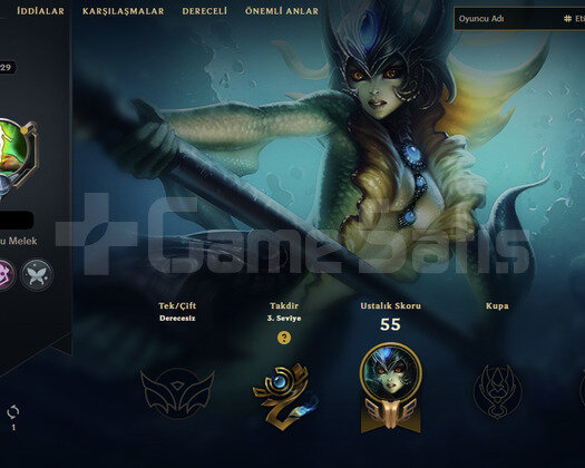 29 lvl hesap