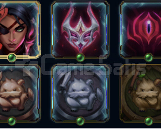 29 lvl hesap