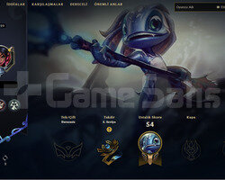 29 lvl hesap