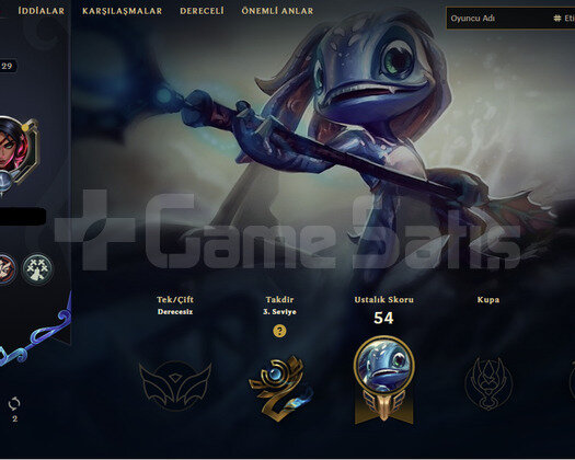 29 lvl hesap