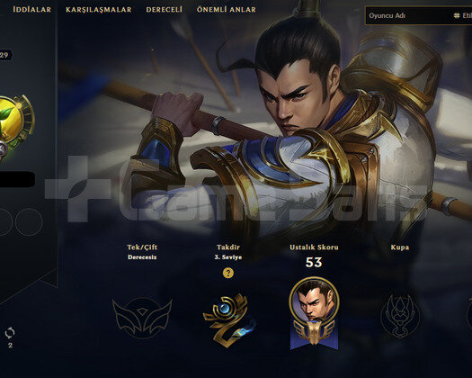 29 lvl hesap