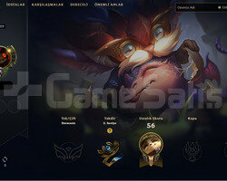29 lvl hesap
