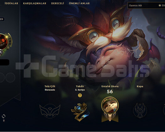 29 lvl hesap