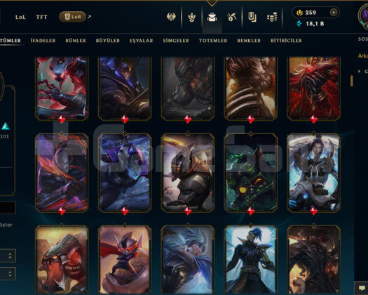 TR / 333 LEVEL / 234 SKİN / FUL HERO +MAİL