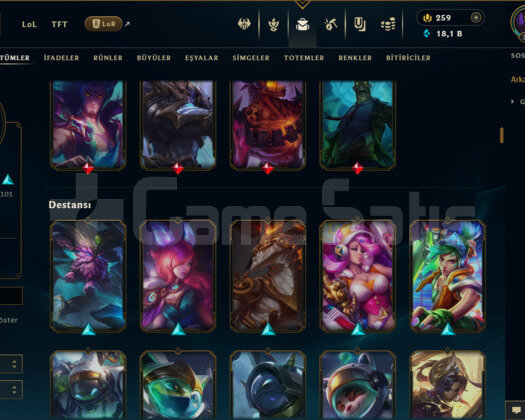 TR / 333 LEVEL / 234 SKİN / FUL HERO +MAİL