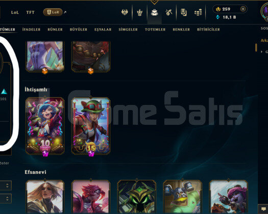TR / 333 LEVEL / 234 SKİN / FUL HERO +MAİL