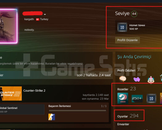 10 Madalya 300 Oyun 45 Seviye Steam ILK MAIL