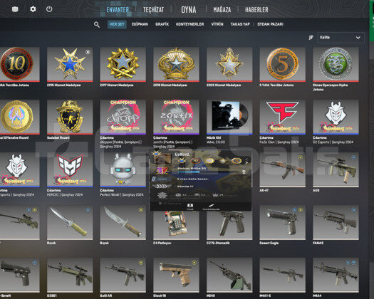 10 Madalya 300 Oyun 45 Seviye Steam ILK MAIL