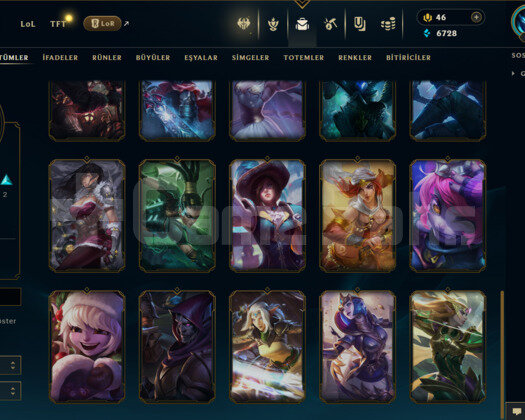 TR 23 SKİN UNRANKED HESAP - LOL