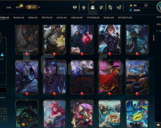 TR / 575 LEVEL / 179 SKİN / FUL HERO +MAİL