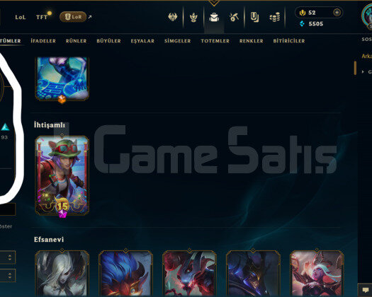 TR / 575 LEVEL / 179 SKİN / FUL HERO +MAİL