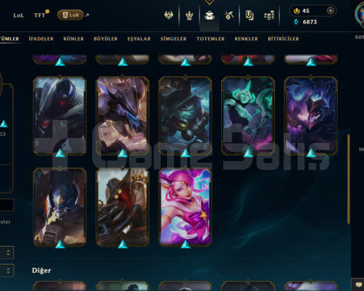 TR 24 SKİN UNRANKED HESAP - LOLTR