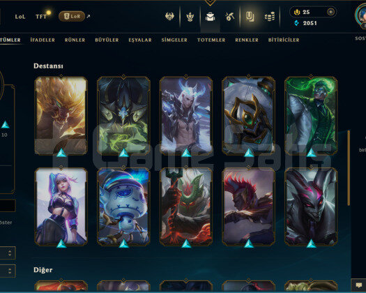TR 29 SKİN DEMİR HESAP - LOL