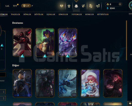 TR 22 SKİN UNRANKED HESAP - LOL