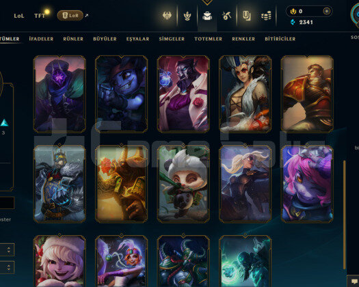 TR 22 SKİN UNRANKED HESAP - LOL