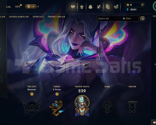 TR 22 SKİN UNRANKED HESAP - LOL