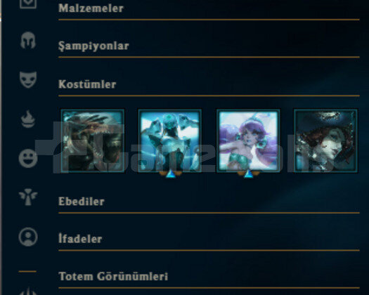 1 YILLIK / 42 BİN MAVİ ÖZ / 30 LEVEL FRESH