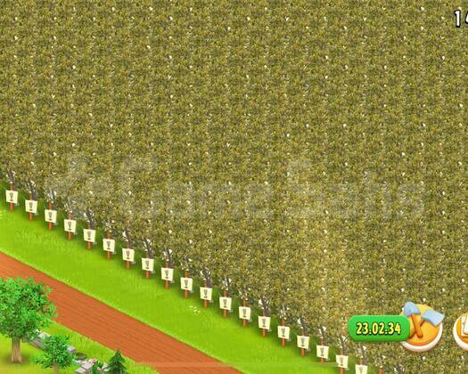 +40.000 XP  HIZLI LEVEL ATLAMA