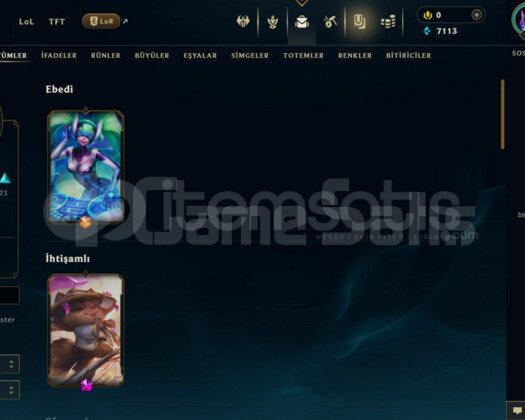 TR 39 SKİN DEMİR HESAP - LOL