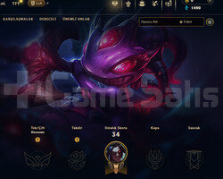 DERECELİ HAZIR / GEÇEN SEZON GOLD / EUW