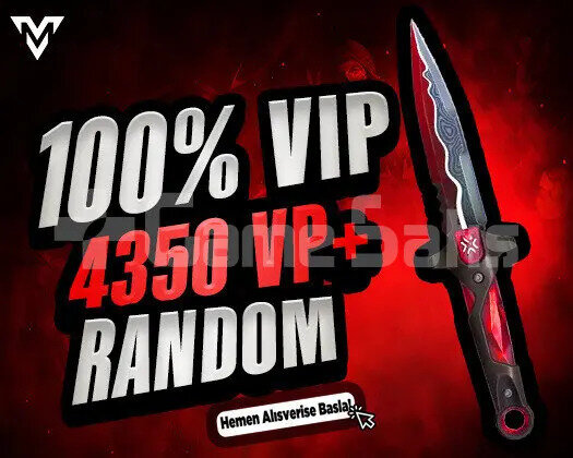 100TR VALORANT 4350VP BIÇ RANDOM