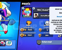 Uygun Fiyatlı, Güçlü Hesap! Brawl Stars Severler