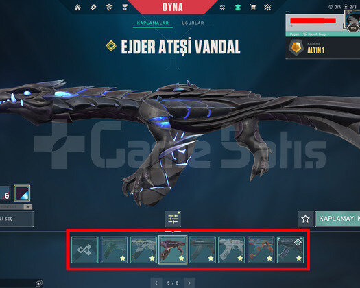 YAĞMACI//BLASTX//EJDER//KÖKEN//YİTİK//MAİNLİK ACC