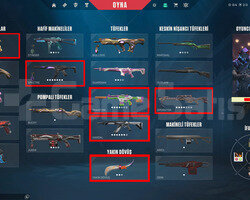 YAĞMACI//BLASTX//EJDER//KÖKEN//YİTİK//MAİNLİK ACC