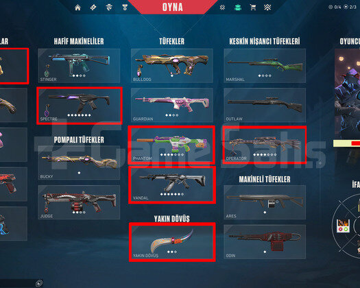 YAĞMACI//BLASTX//EJDER//KÖKEN//YİTİK//MAİNLİK ACC