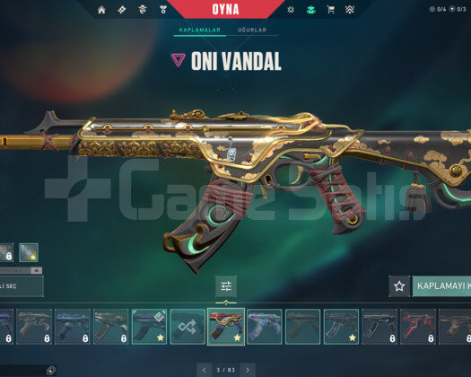 RGX SETİ+RGX KARAMBİT+EXO VANDALI 3 VANDALLI HESAP
