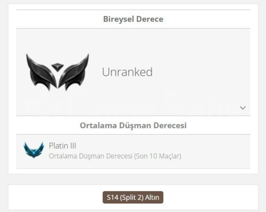 DERECELİ HAZIR / GEÇEN SEZON GOLD / TR