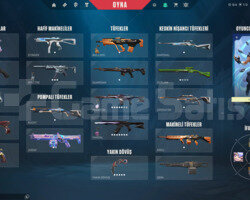 VALORANT MAİNLEMELİK BOL SKİNLİ HESAP