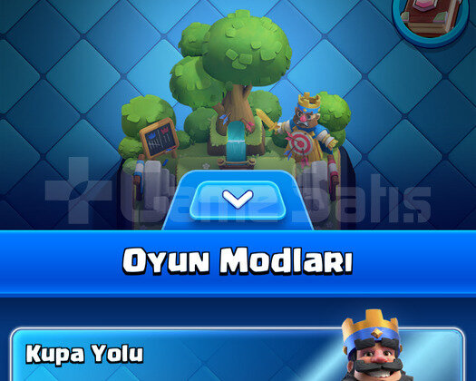20. Arena Dolu Paket